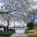 태국쌀국수 | 일산호수공원 맛집 드렁킨타이 일산점 | 태국음식 쌀국수 팟타이 솔직후기