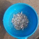 성근농장 이미지