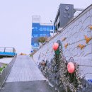 장승포해안로 네이버블로그