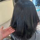 4391 | 대전 레이어드 펌 잘하는 곳, 터닝포인트헤어 대전 둔산점 다녀온 후기