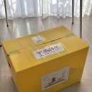 백일 | [셀프 백일상] 장난감도서관 백일상 무료 대여 후기