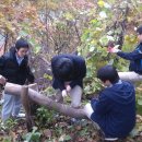 대성고등학교 이미지