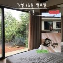 머뭄 | 제주 서귀포 가족숙소, 아이와 가기 좋은 프라이빗 수영장 독채 (최대 8인)