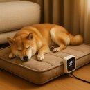 (주)한림산업동물약품 | 강아지 온도조절 방석, 저온화상 걱정없이 안전하게 사용하려면?