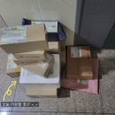 돌비푸드