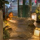 캡틴당구장 이미지