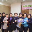 지남식 Daum카페