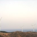 새동해바다 이미지