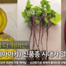 대목농장 이미지