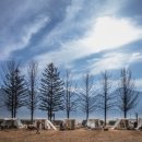 잉카마야박물관캠핑장 이미지