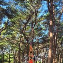 주산초병설유치원 이미지