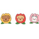 슈퍼해피독 이미지