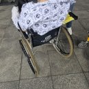 메디칼이송단 이미지