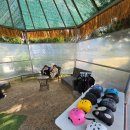 안덕면 우리가든 옆 | 6살 인생 첫 제주도 8 _ 파더스가든 승마체험 귤따기체험 귤체험