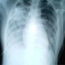 유엔컨시어지 행정법률사무소 | 11월 16일 오늘의 역사