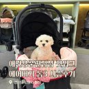 (주)그린아쿠아펫 | 에어버기 돔3 강아지유모차 전문매장 펫워크 시승후기 프리미엄펫용품편집샵