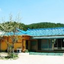 점봉산막국수 이미지
