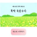 가나상사 | 테스트잇 폭싹 속았수다 테스트 mbti 후기
