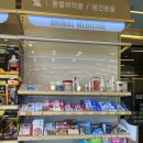 드림온누리약국 이미지