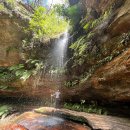 북부주유소 | 시드니 북부 블루마운틴 하이킹 투어: 대자연과 현지인 코스를 찐하게 체험한 후기