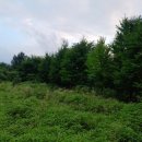 인보농장 이미지