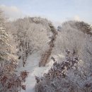 큰골조경