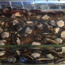 광교이마트 이미지