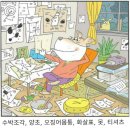 소나무향기 이미지