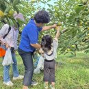 가을탐방(가족) 이미지