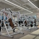 바오휘트니스 이미지