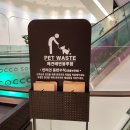 마로가든 | 수원 스타필드 펫파크 강아지 동반 후기 (feat. 도러블 아이스크림, 아메리칸트레일러, 폴바셋)