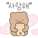 제주가족사랑카시트 네이버블로그