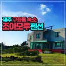 조아모루