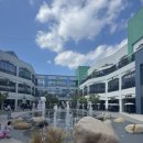 동화울 수변공원 | 현대프리미엄아울렛 대전점 엘로우 스프링스 산책 후기 🌼/10/11일 촬영/핑크뮬리 명소/대전 핑크뮬리...