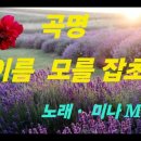 이름 모를 잡초 가사 / 미나 , 노래 이미지