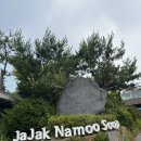 서울청계숲 | [포천] 청계호수 자작나무 숲 펜션 | 아기랑 서울 근교 여행 C동 2층 야외테라스 상세 후기