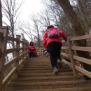 수영강 동천교 이미지