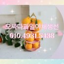 원남로-2 이미지