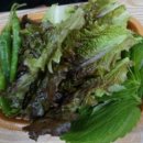 마산형제 이미지