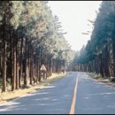 향나무식당민박 이미지