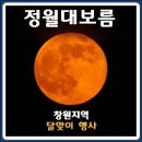 신월주민운동장 이미지