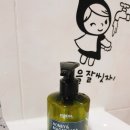 금생춘 도통점 이미지