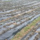 솔골농장 이미지