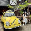 뉴프라자약국 | 부산 후쿠오카 배편 뉴카멜리아호 예약 낭만 가득 후쿠오카 3박4일 일정