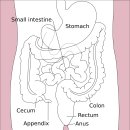 방폐장 방사선관리 노동조합 | 설사 泄瀉 diarrhea