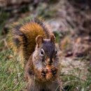 아리스타동물의료센터 이미지