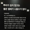 엠오엠(MOM)수학전문학원 이미지