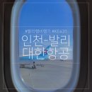 431 | 발리 대한항공 비행기 직항 항공권 KE431 탑승 후기