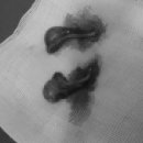 대치수동물병원 이미지