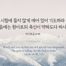 2026.1.13(화) 오늘의 말씀카드, 365묵상글 이미지